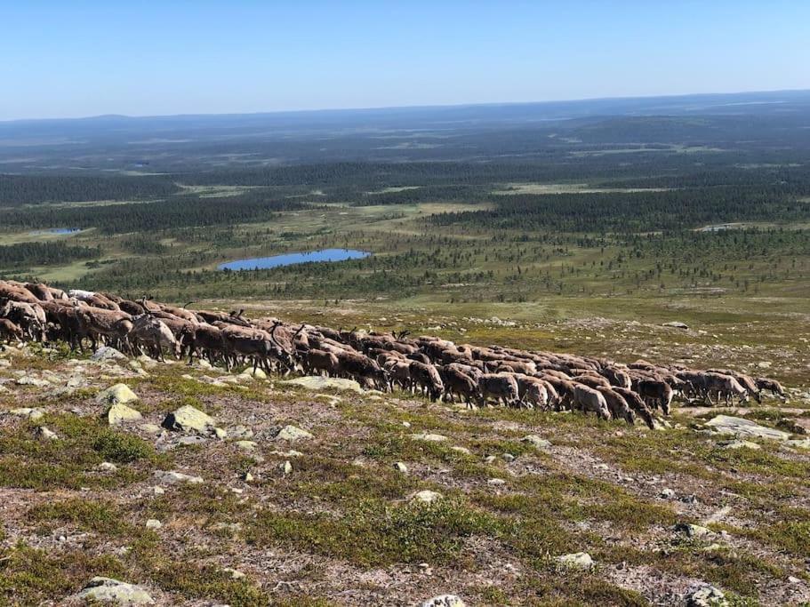 Villa Viihtyisae Moekki Riekkojen Mailla Hetassa Enontekiö Exterior foto