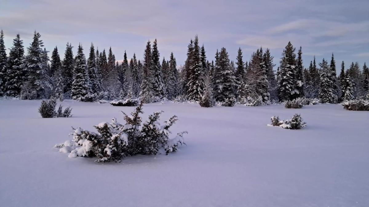 Villa Viihtyisae Moekki Riekkojen Mailla Hetassa Enontekiö Exterior foto