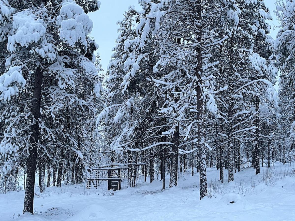 Villa Viihtyisae Moekki Riekkojen Mailla Hetassa Enontekiö Exterior foto